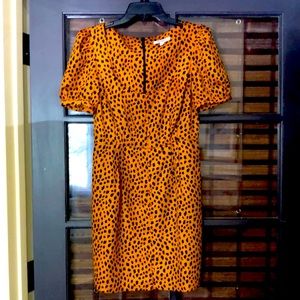 BB Dakota cheetah/ leopard print dress, puff sleeve, size 4